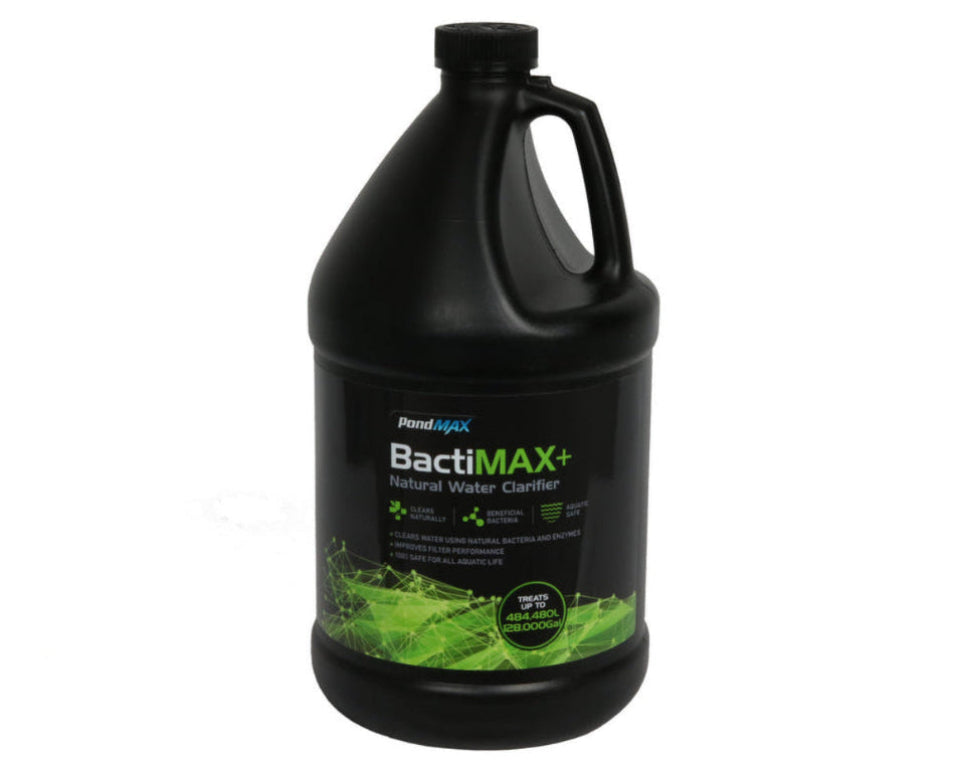 Black container of BactiMAX+ Natural Water Clarifier on a white background