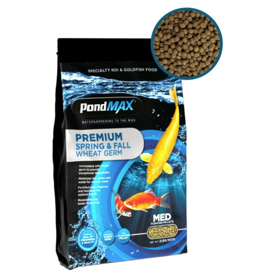 Premium Spring and Fall